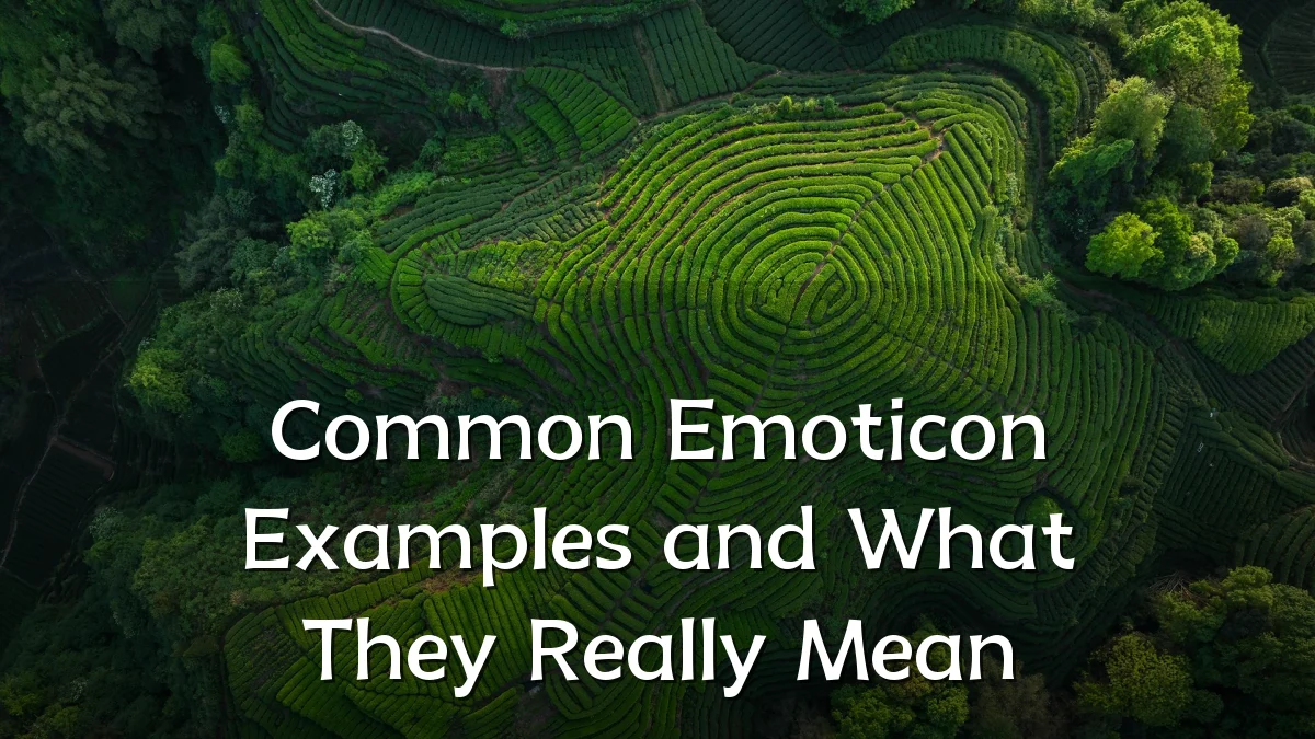 Common Emoticon Examples and What They Really Mean