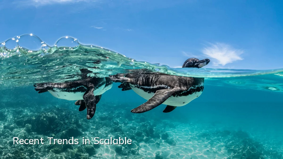 Recent Trends in Scalable