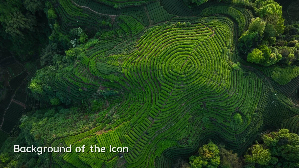 Background of the Icon