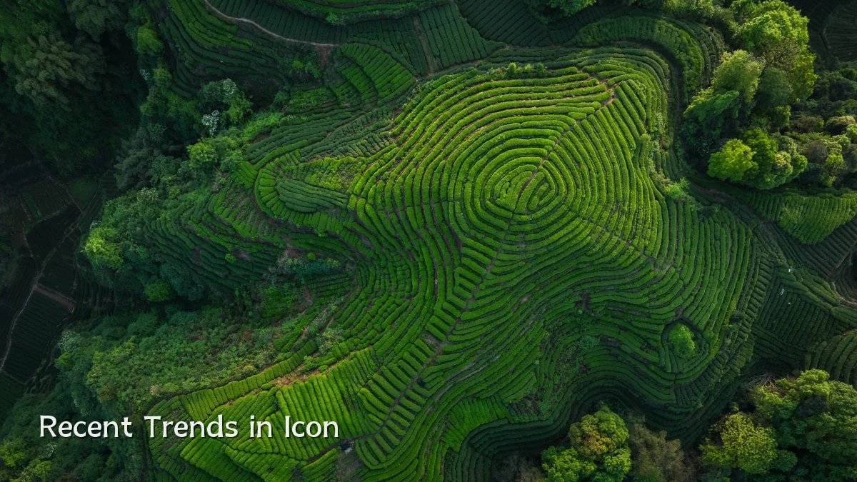 Recent Trends in Icon