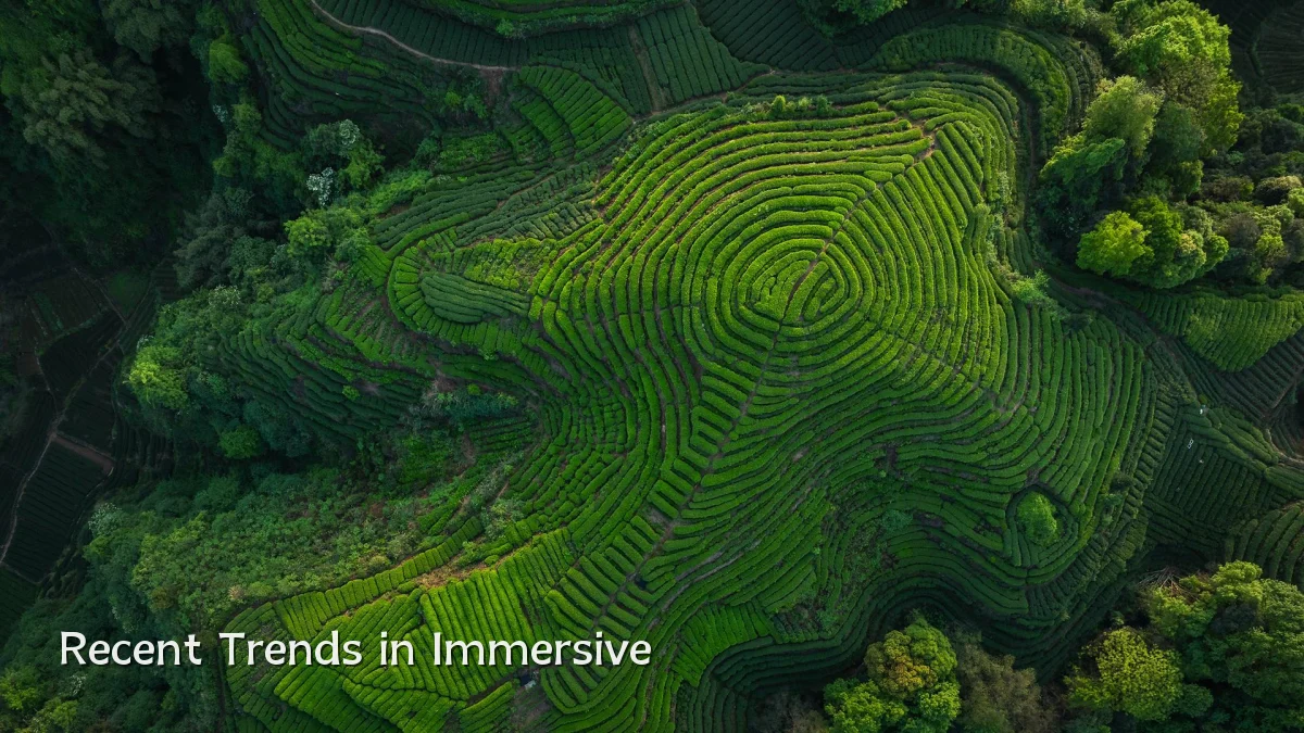 Recent Trends in Immersive