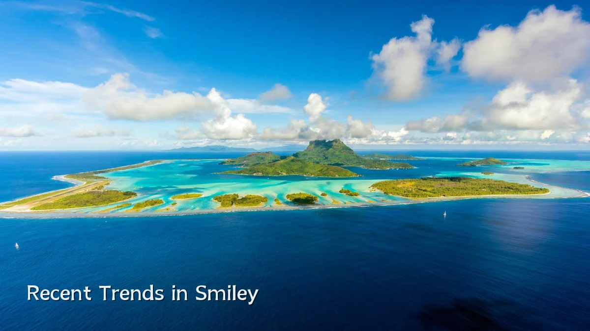 Recent Trends in Smiley