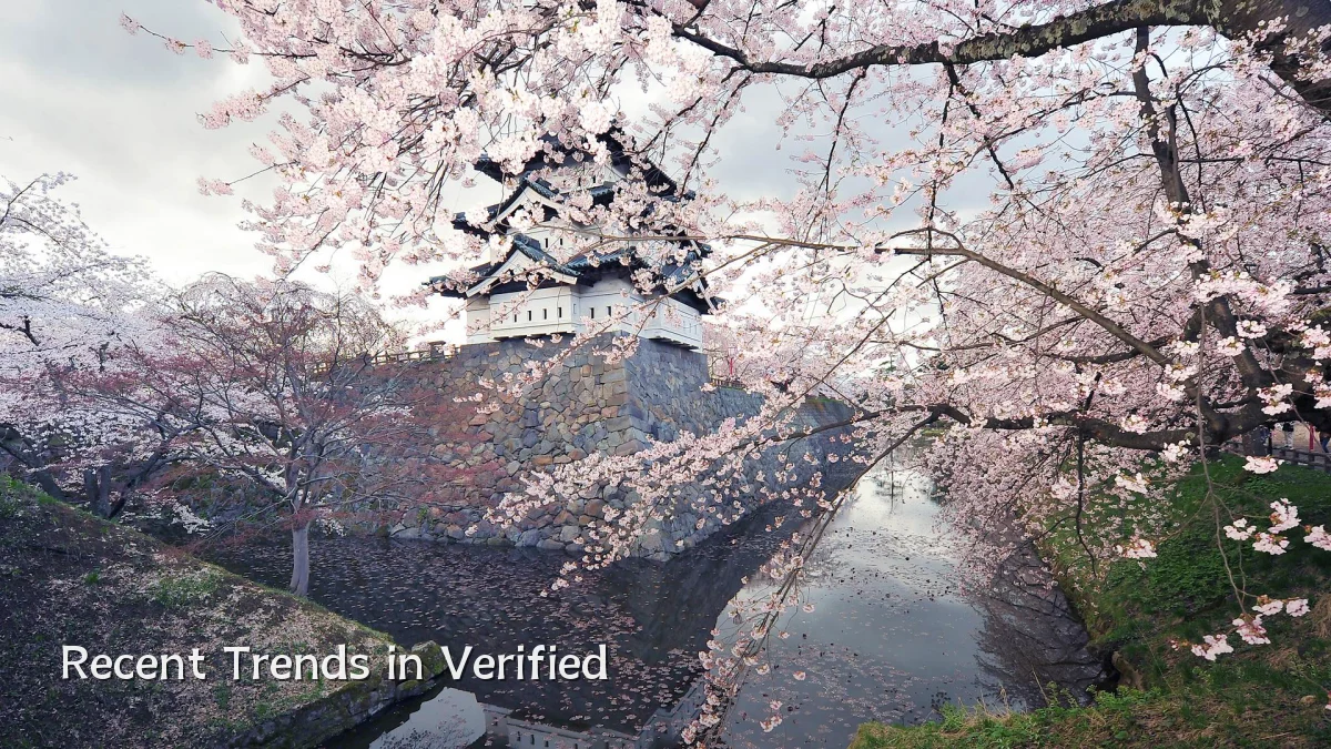 Recent Trends in Verified