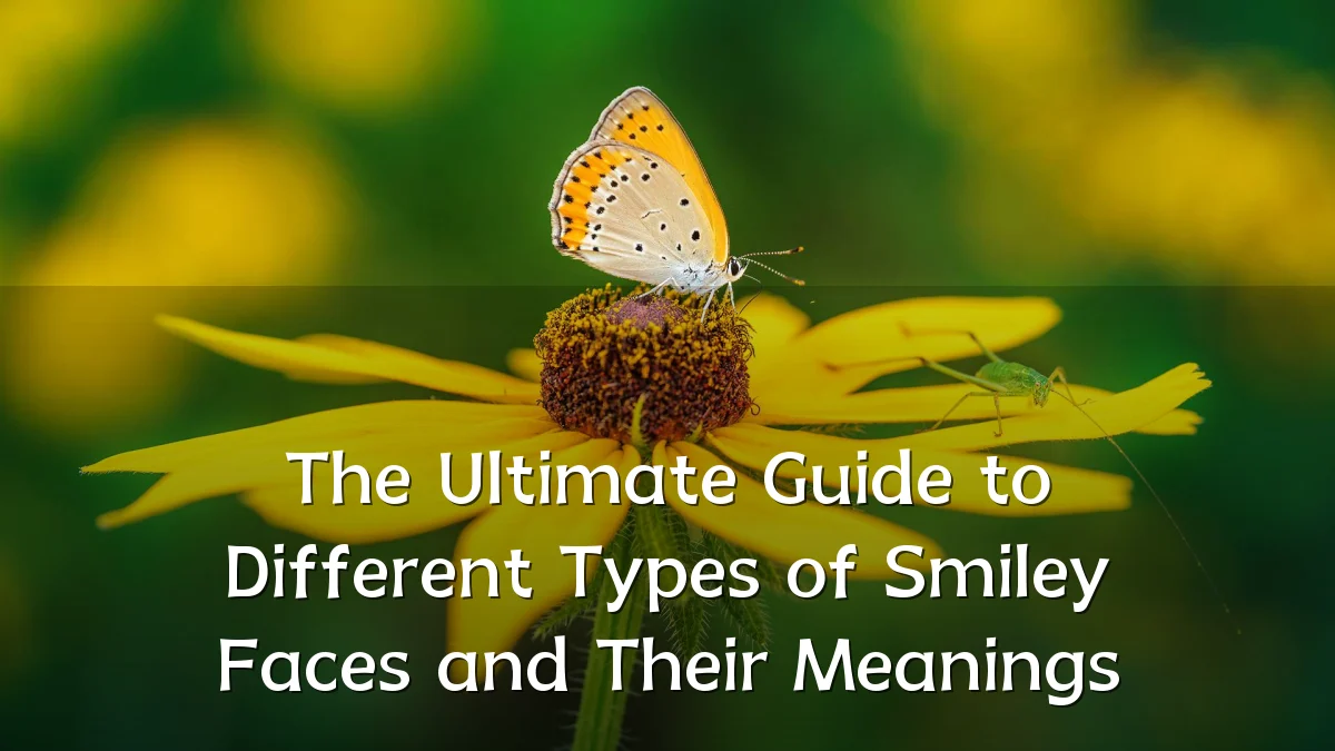 The Ultimate Guide to Different Types of Smiley Faces and Their Meanings